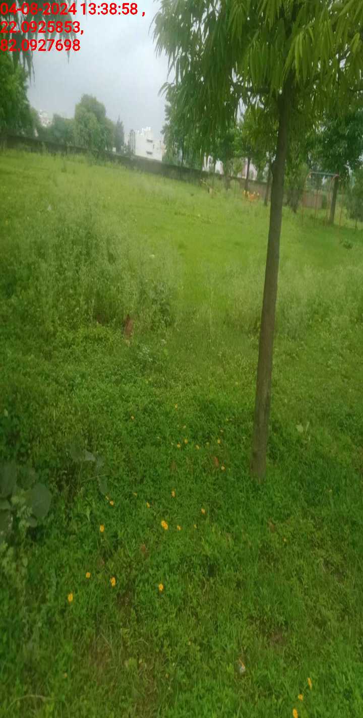 no images upload
