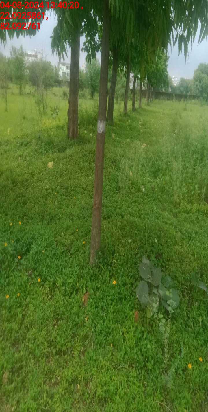 no images upload