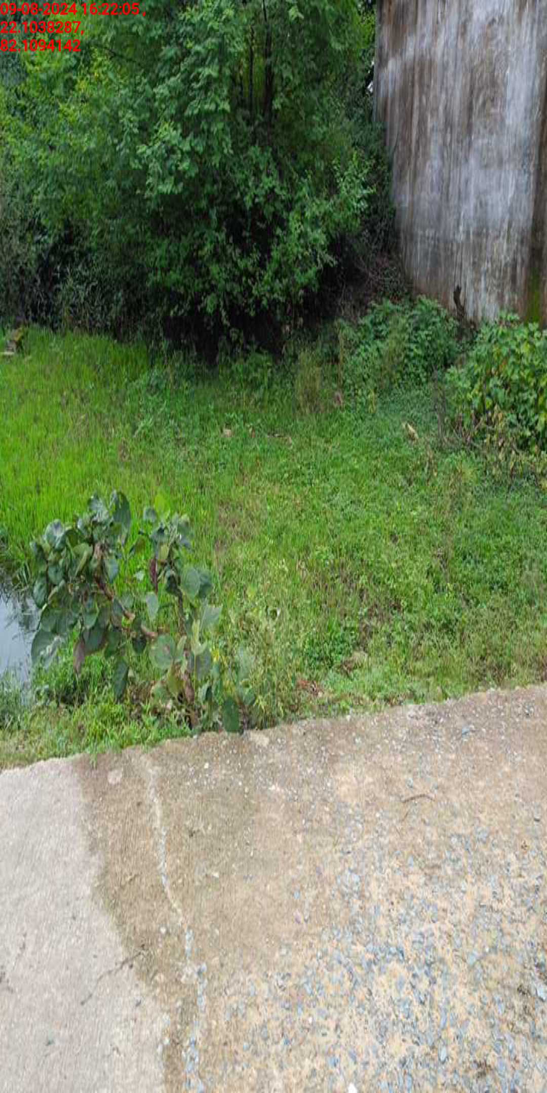 no images upload