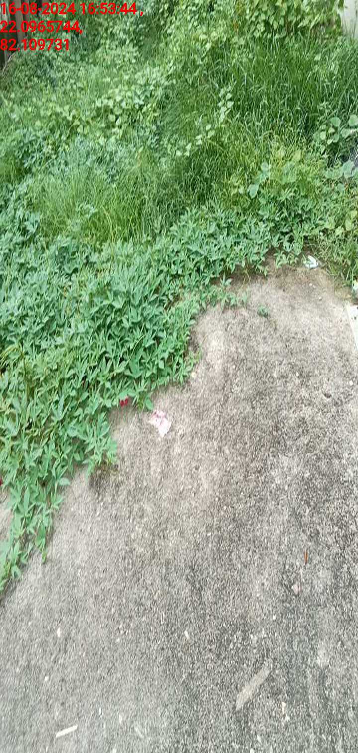 no images upload