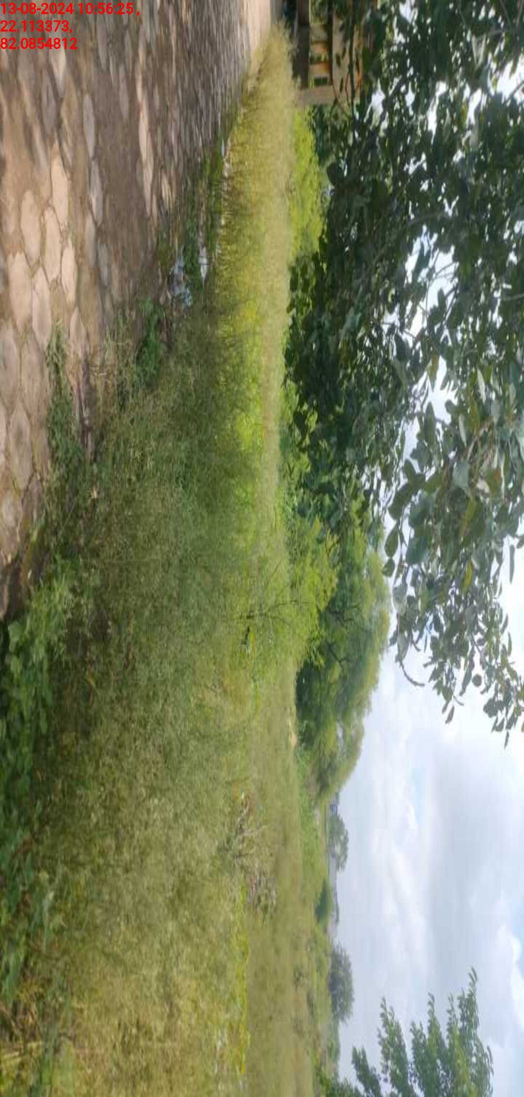 no images upload