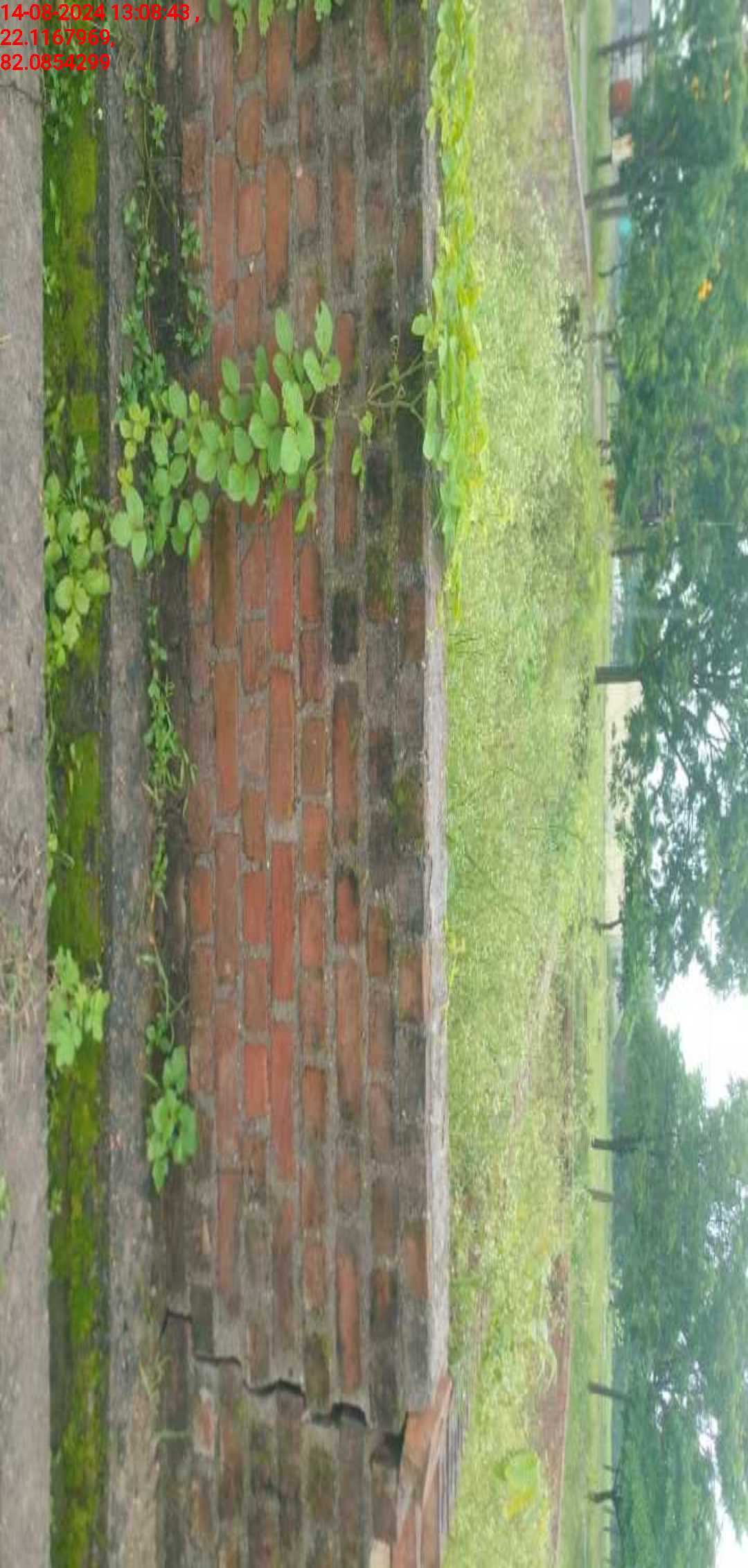 no images upload