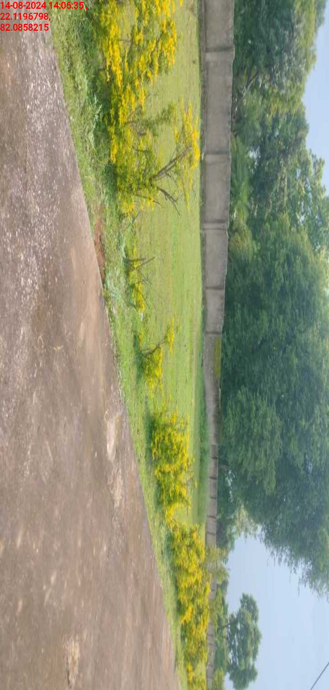 no images upload