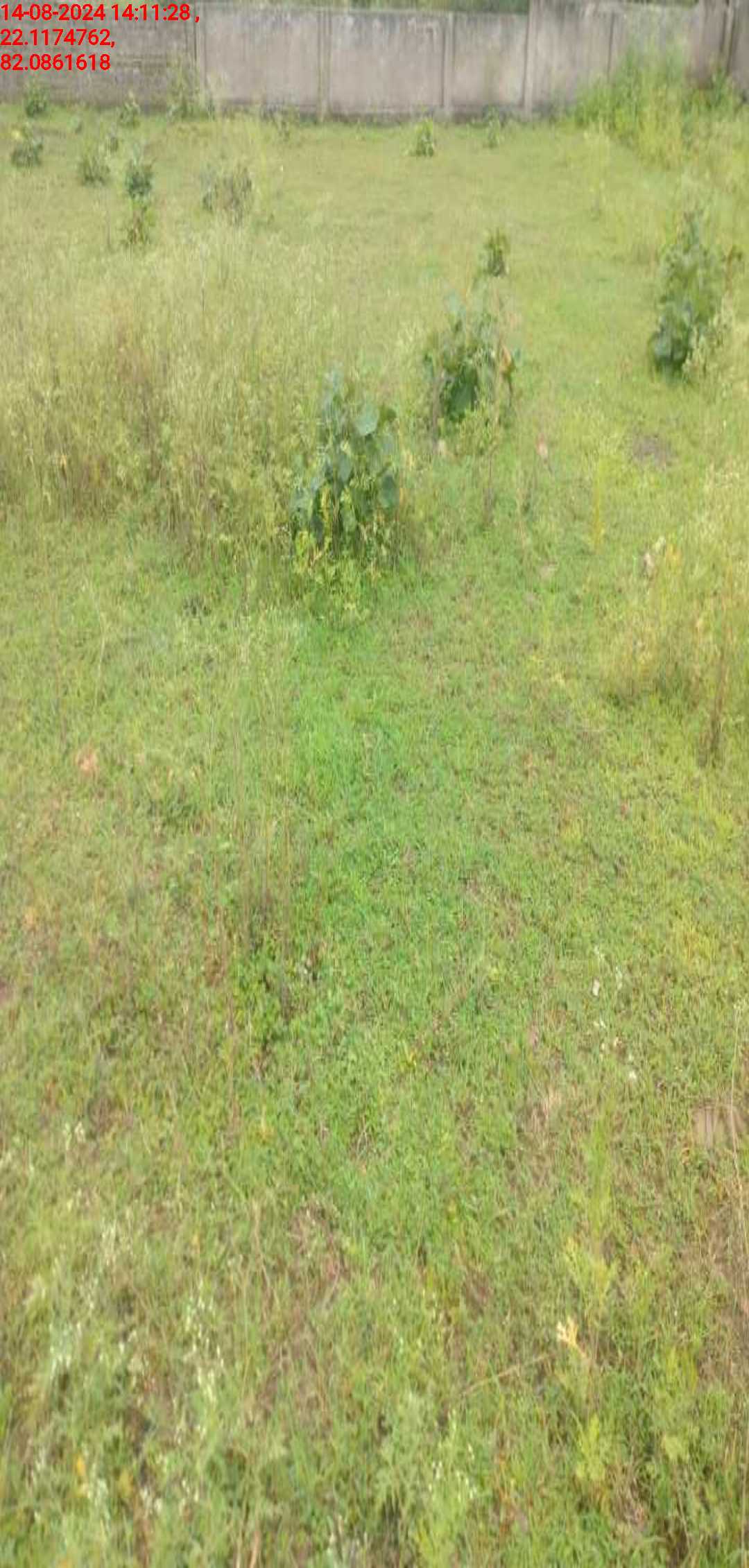 no images upload