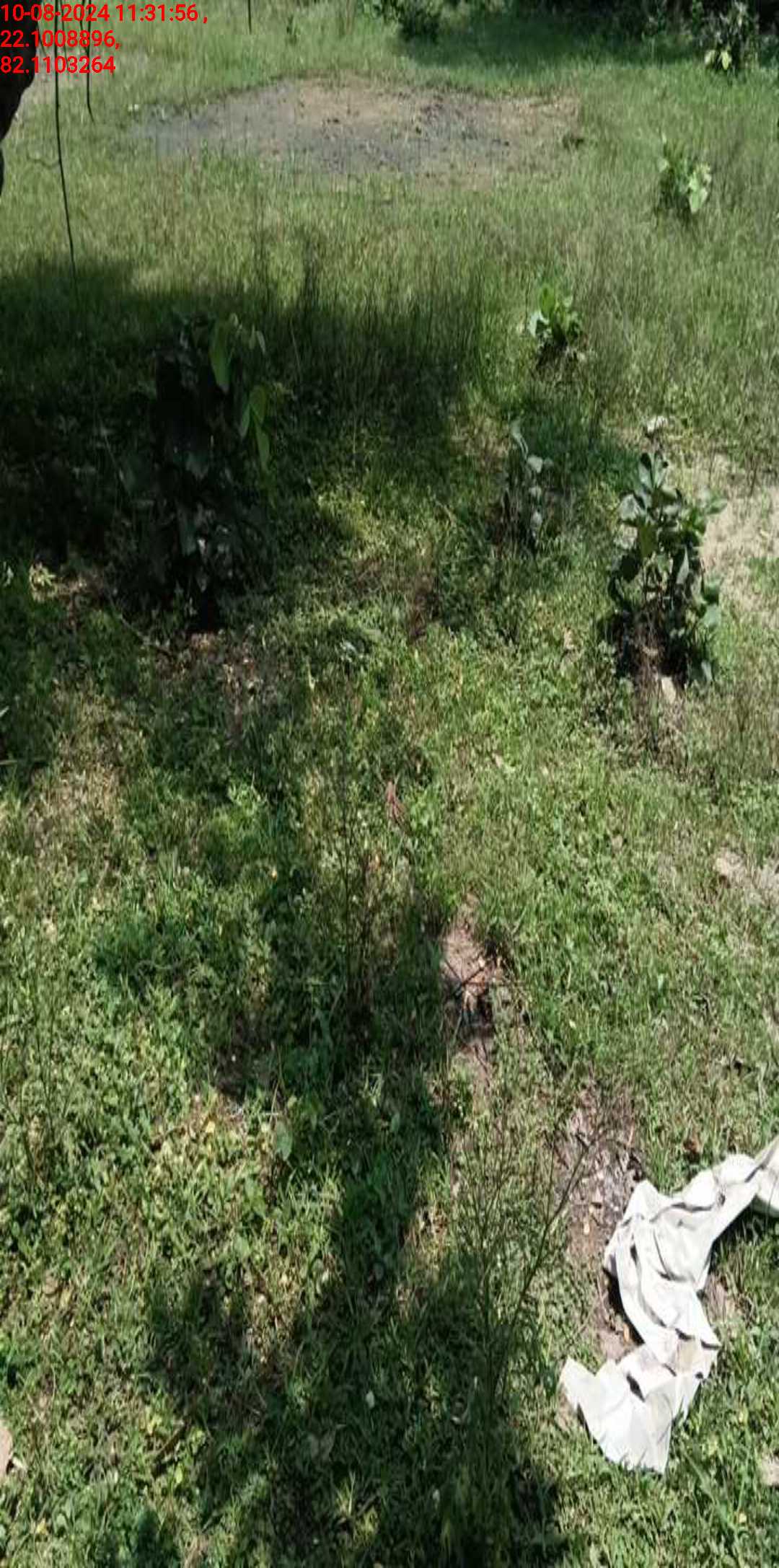 no images upload