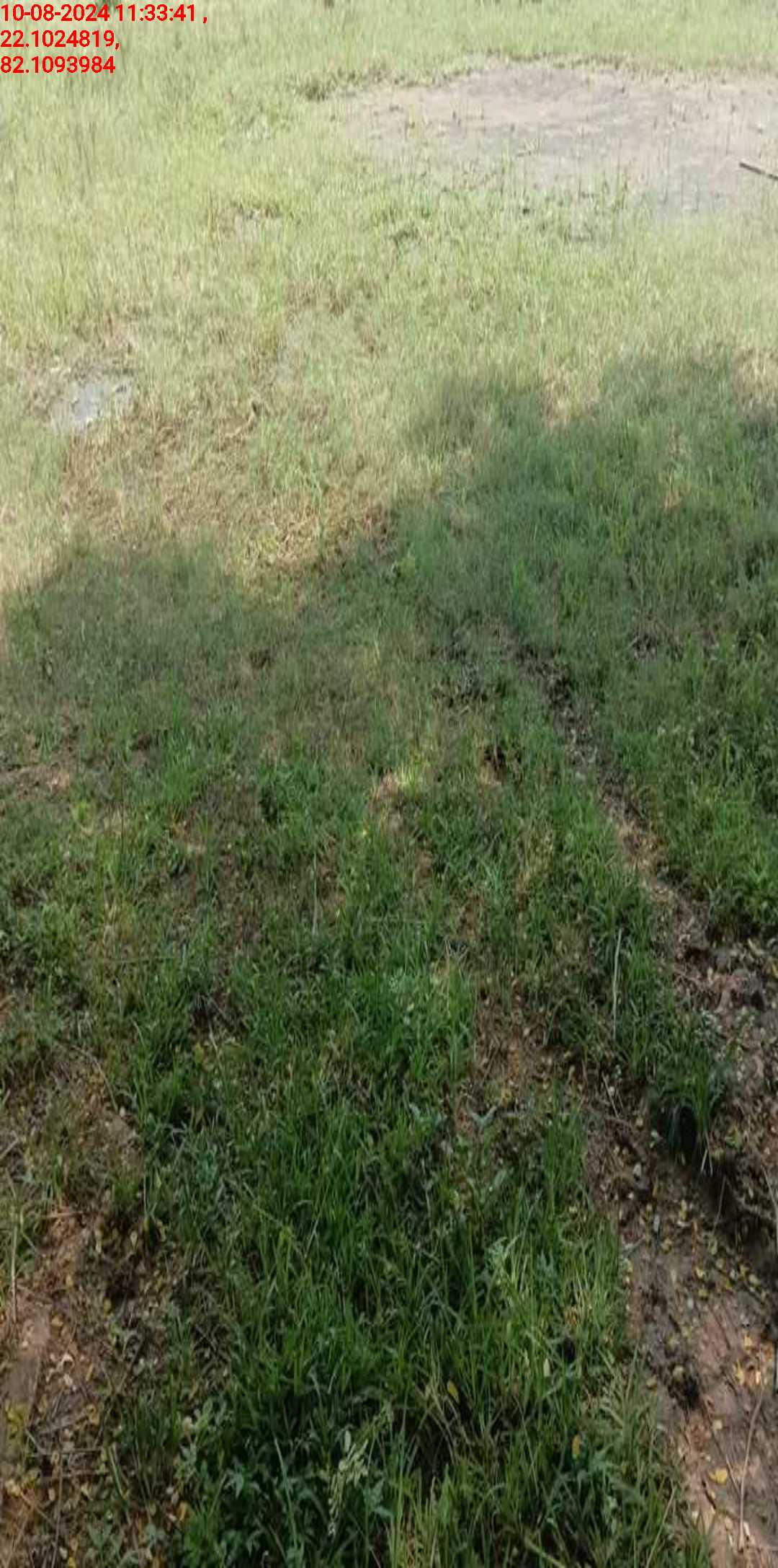 no images upload