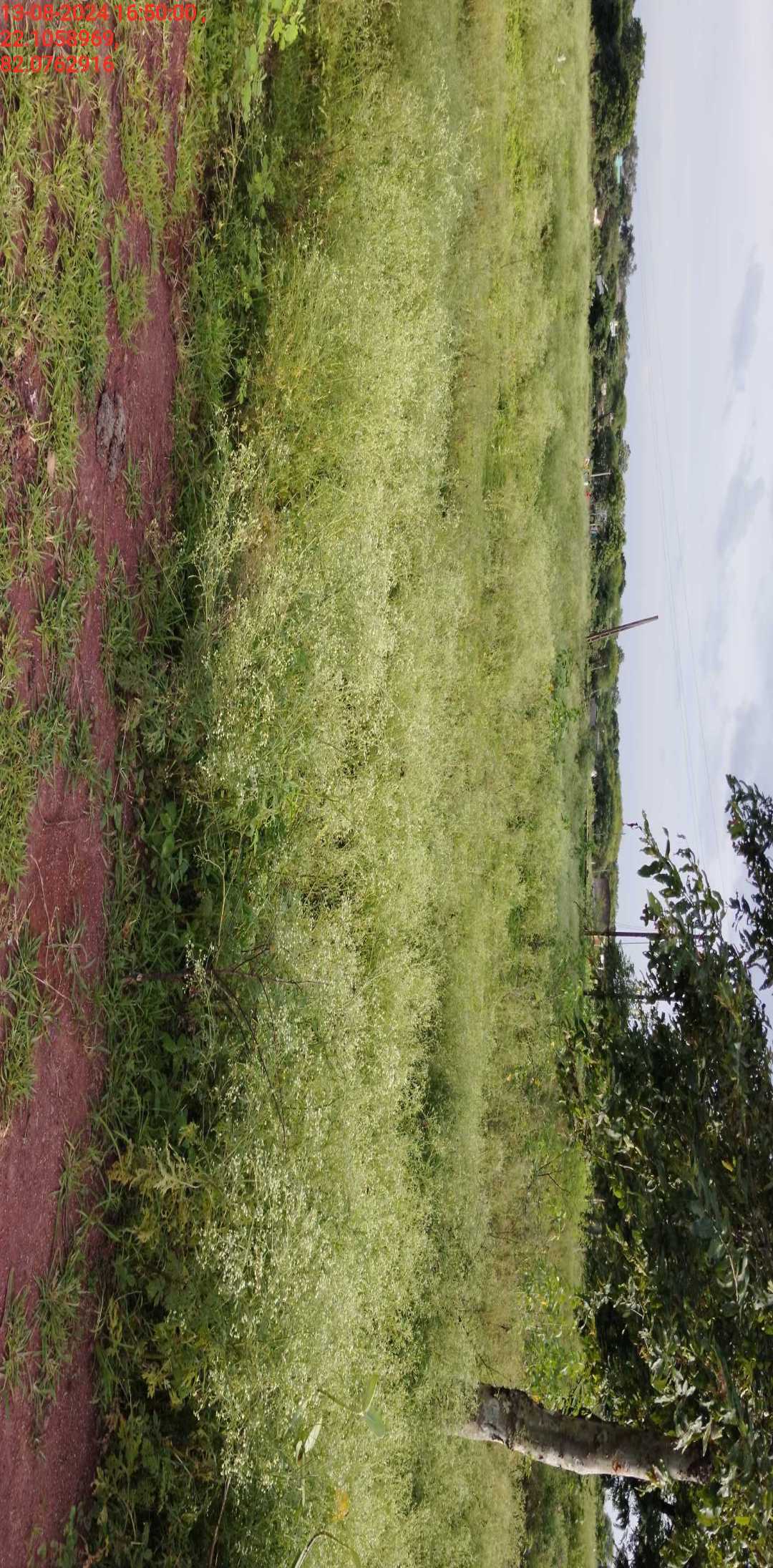 no images upload