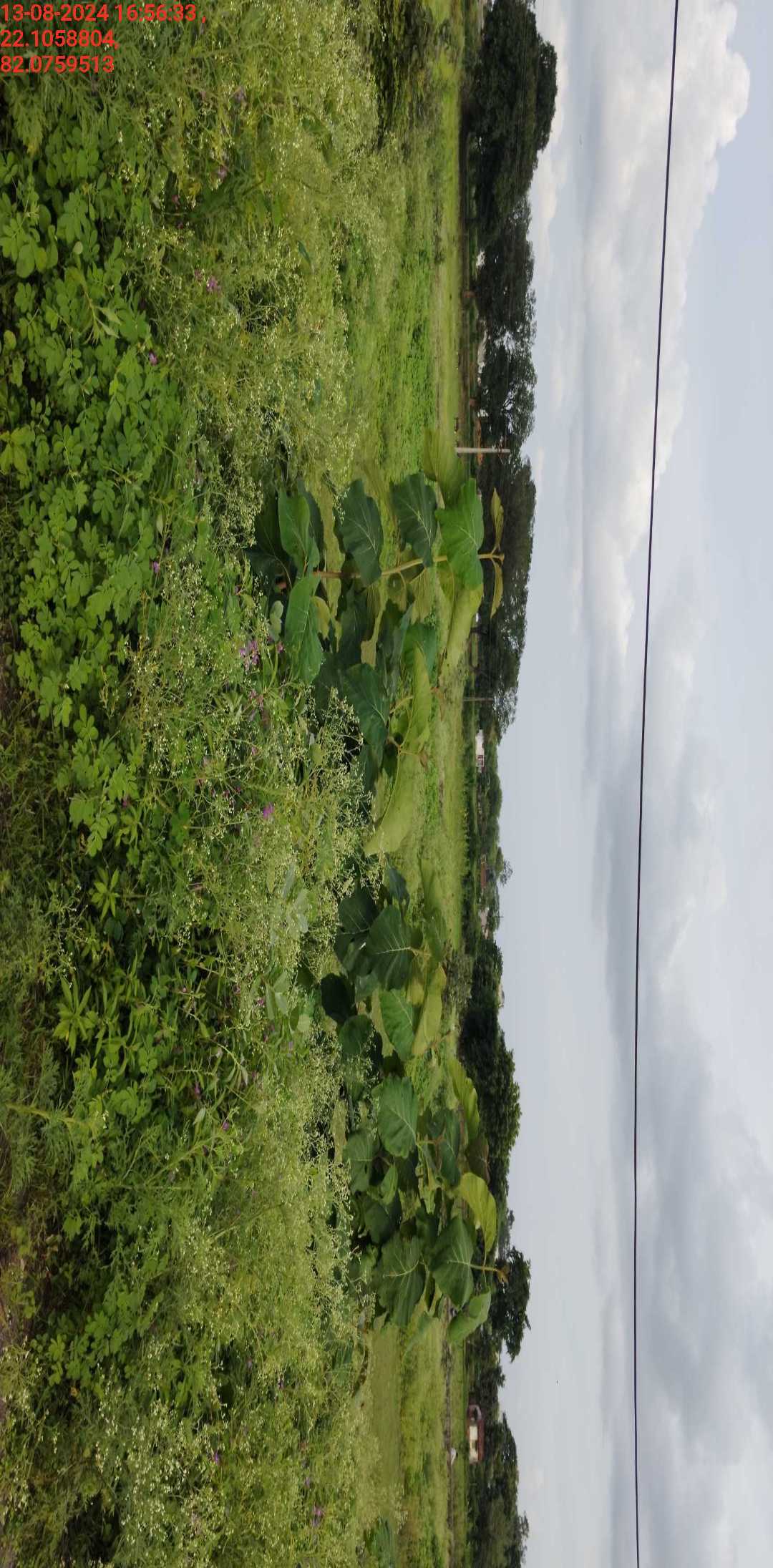 no images upload