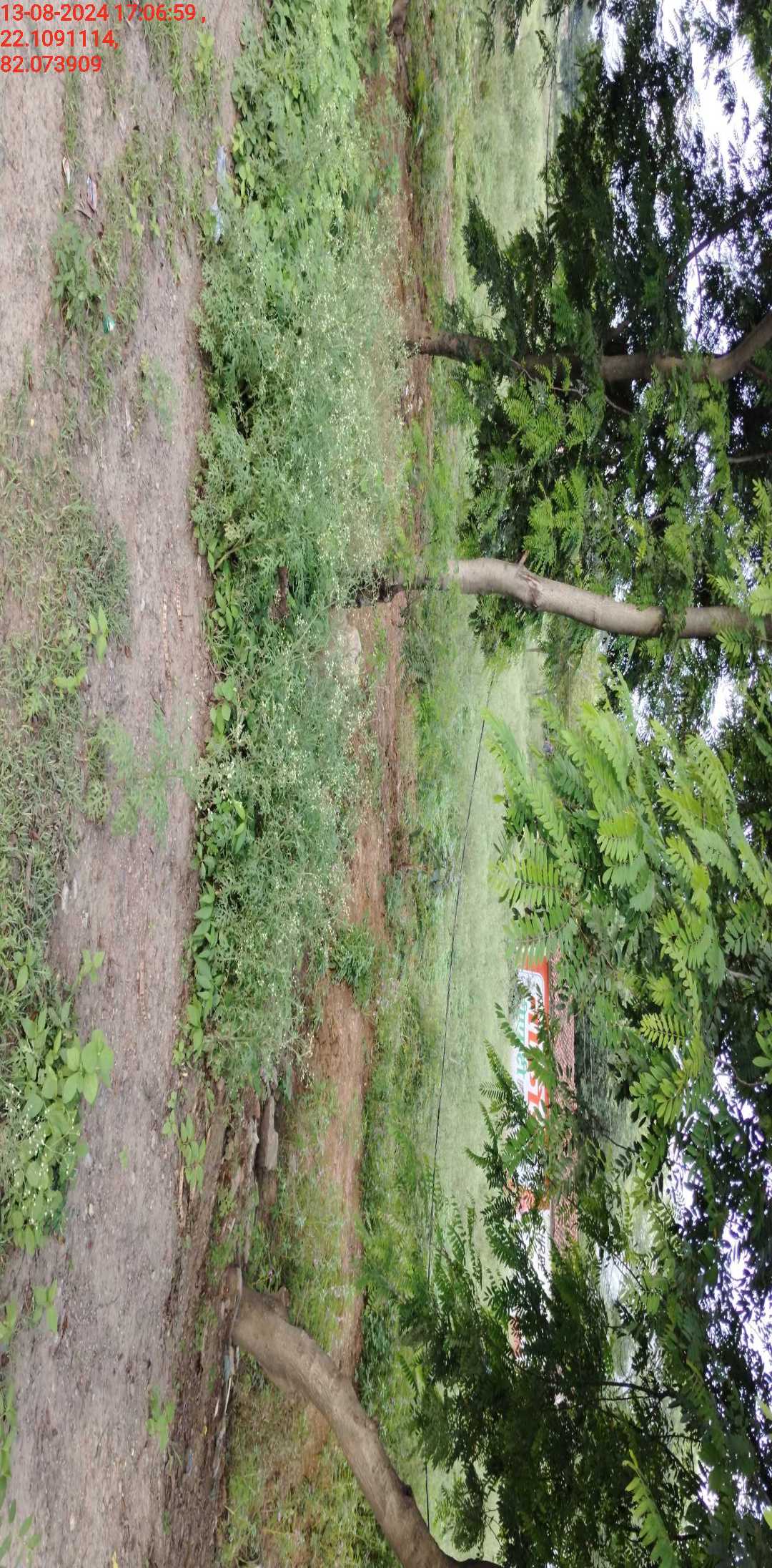 no images upload