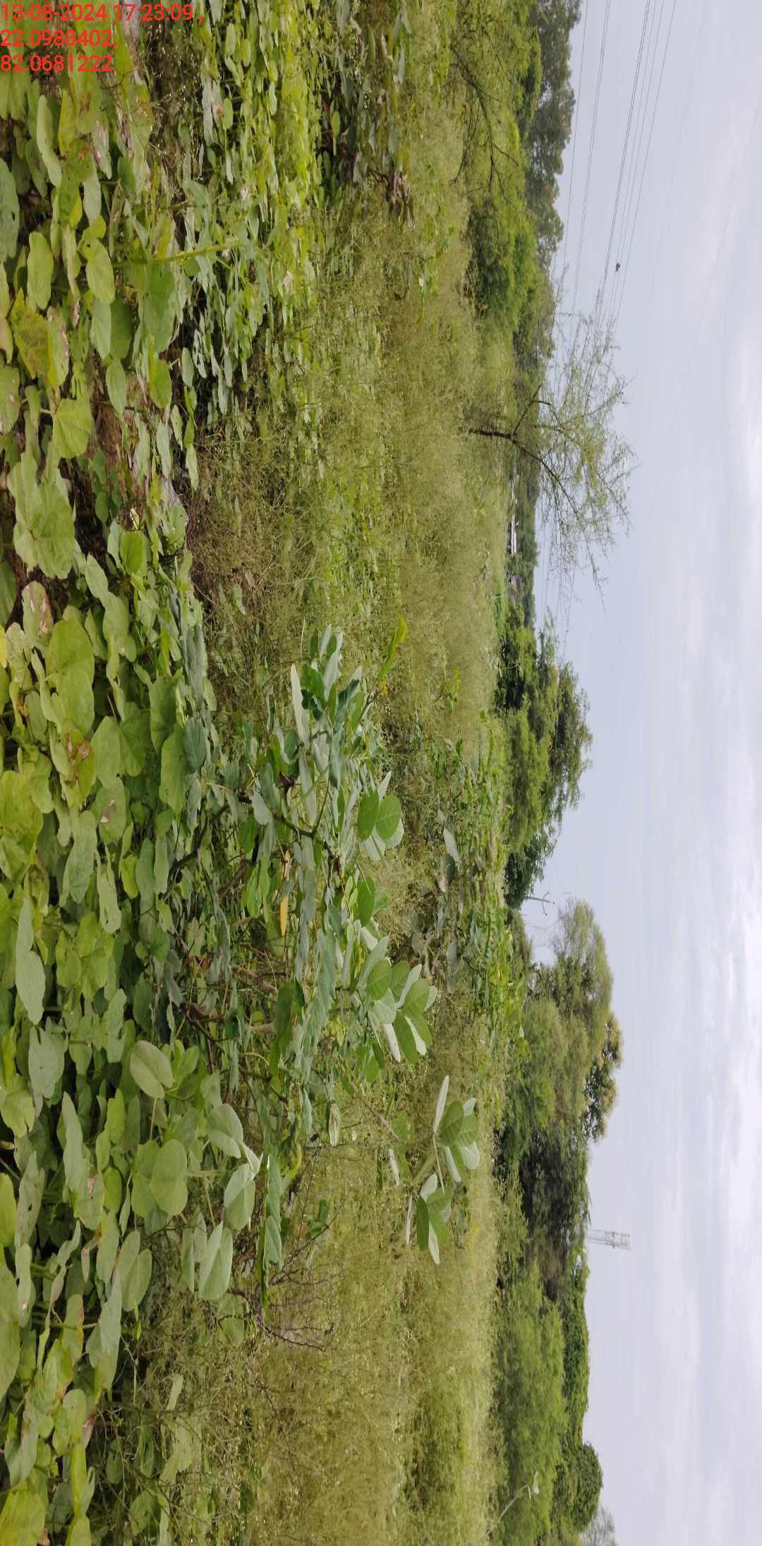 no images upload