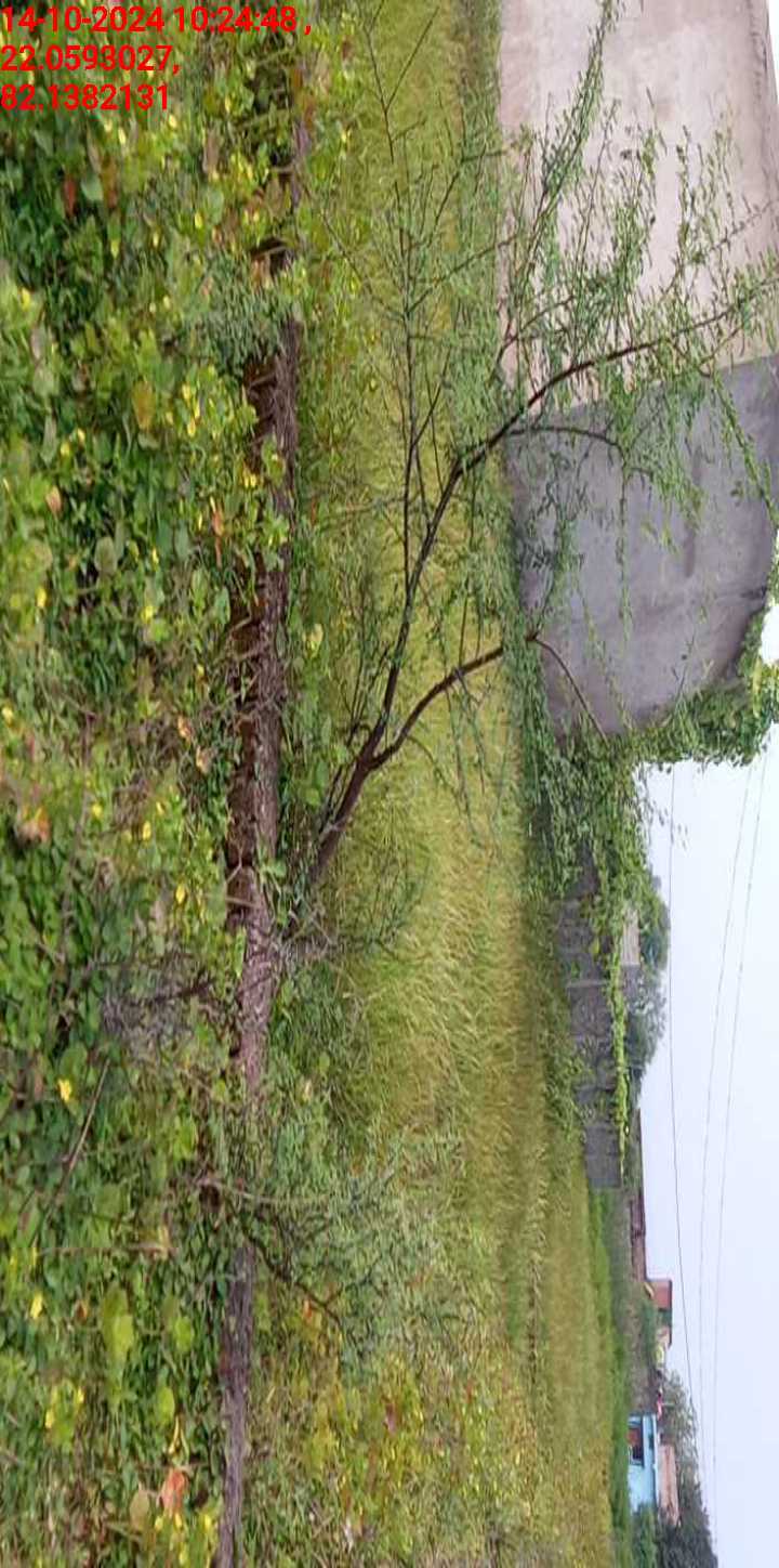 no images upload