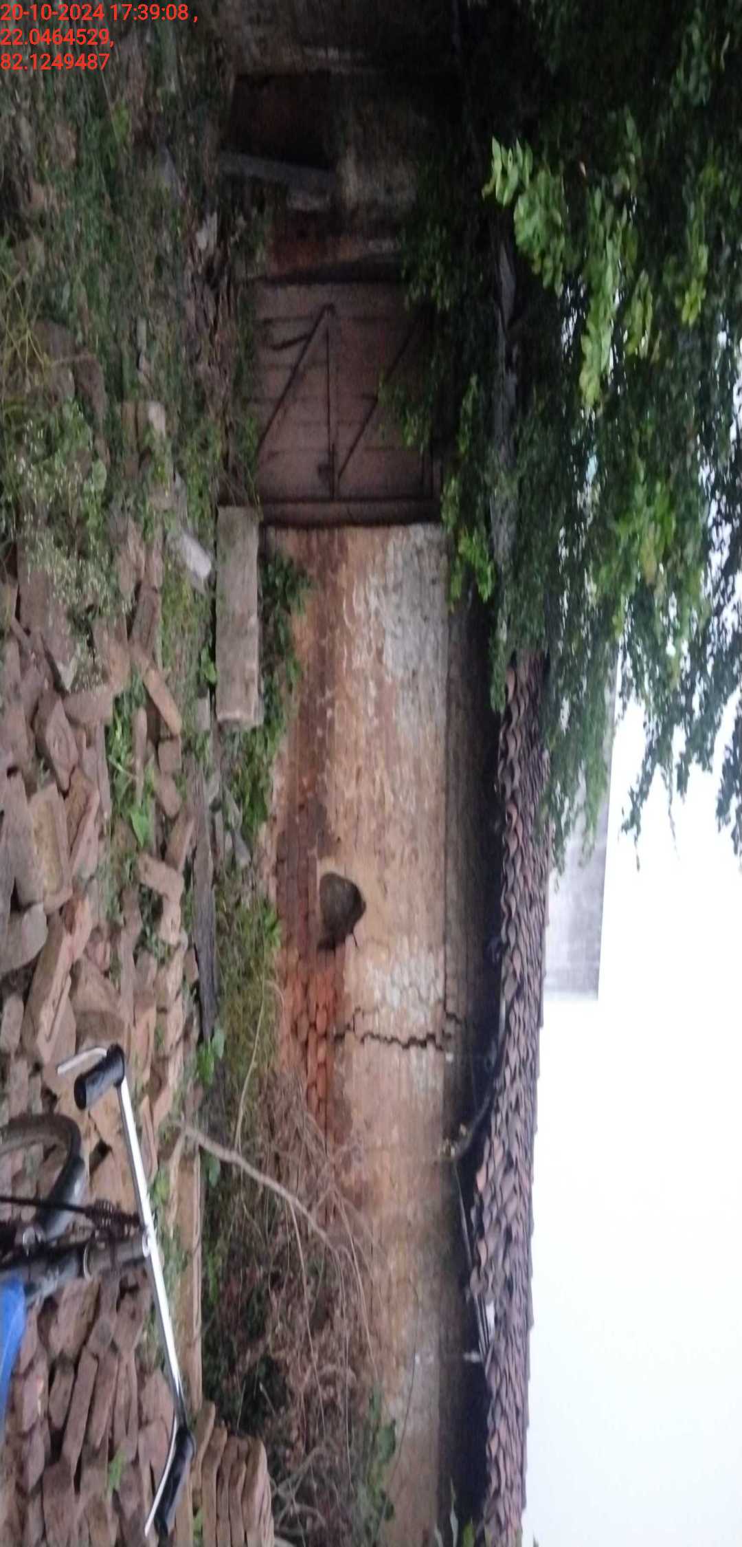 no images upload